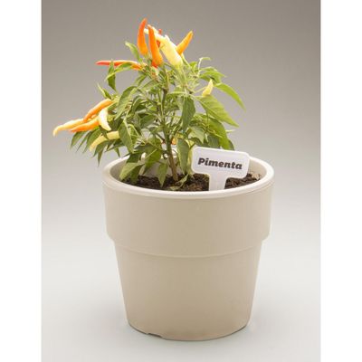 Imagen 2 del producto Macetero Autorregante de Plástico 15x15 cm Beige