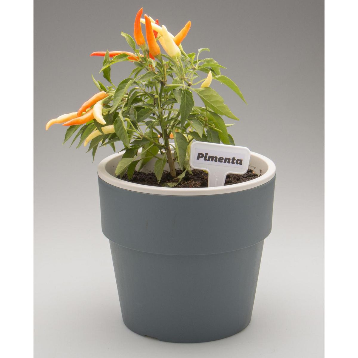 OU - Macetero Autorregante de Plástico 15x15 cm Azul