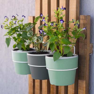 Imagen 2 del producto Macetero Autorregante de Plástico 16.5x15 cm Menta