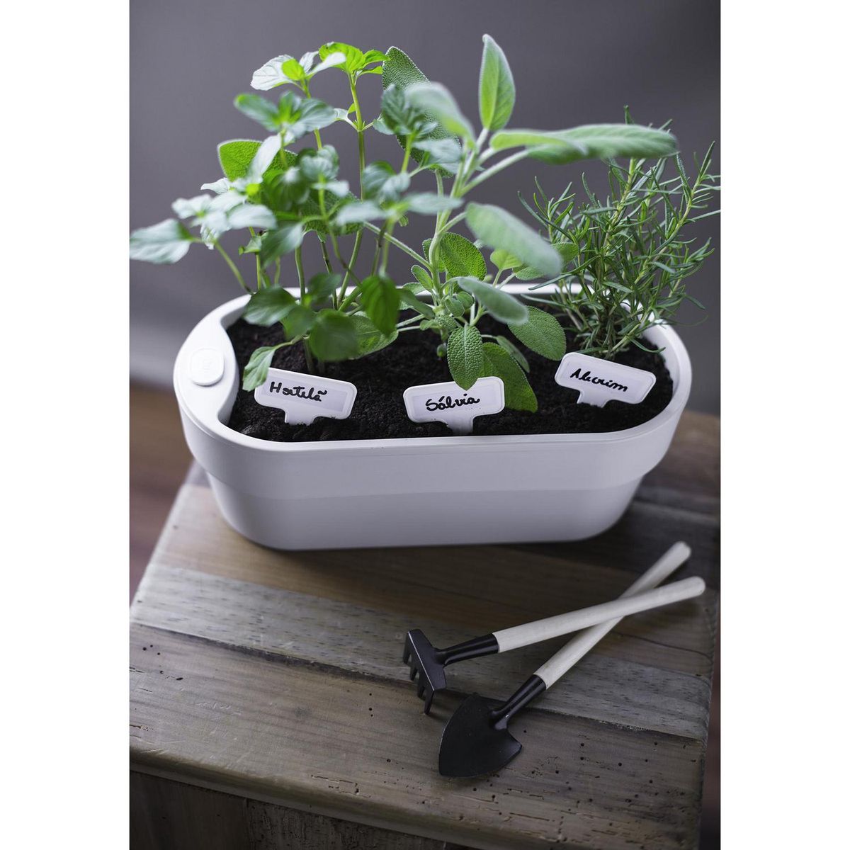 OU - Jardinera Autorregante de Plástico 12x12 cm Beige