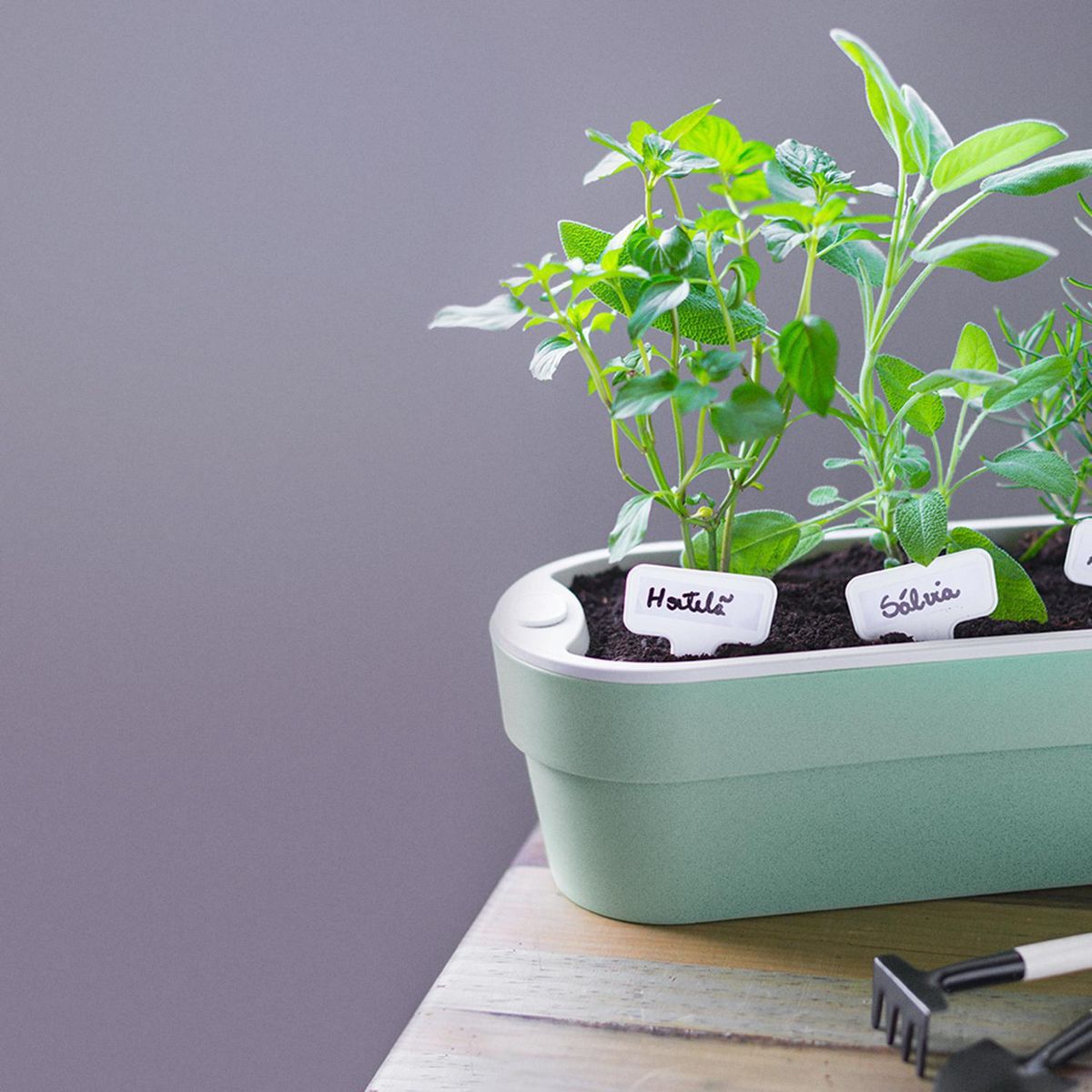 OU - Jardinera Autorregante de Plástico 29x11 cm Verde