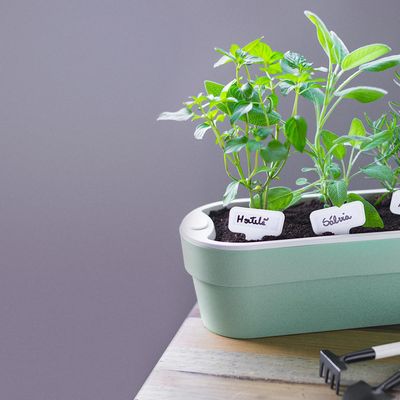 Imagen 2 del producto Jardinera Autorregante de Plástico 29x11 cm Verde