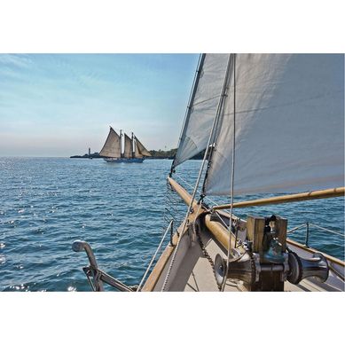 Fotomural Sailing negro 3,68x2,54 m