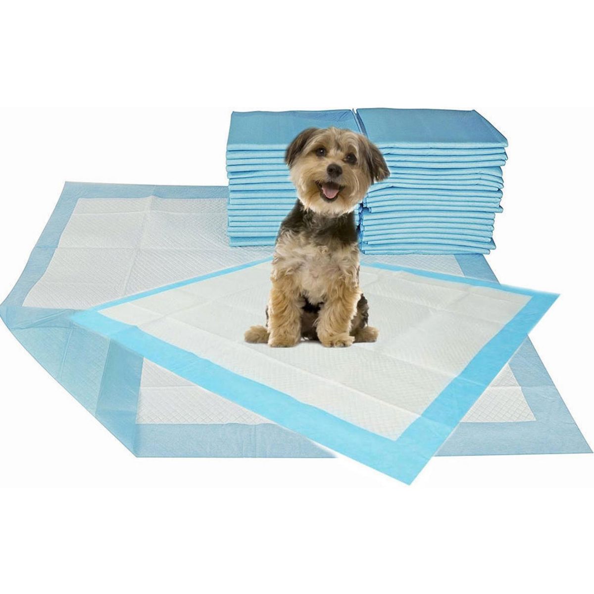 HB LEDS - Pack panales perro 30