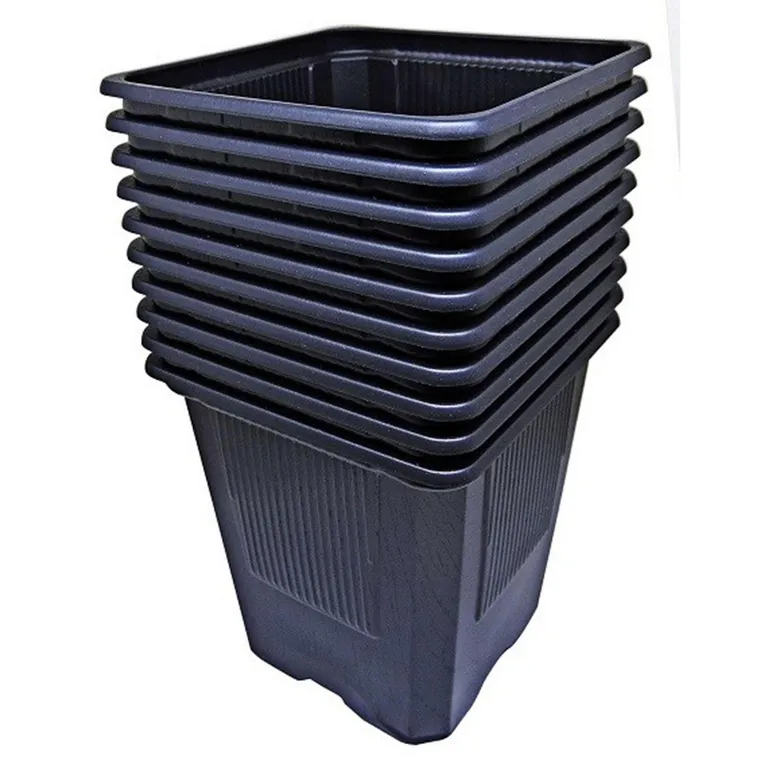 Vasos para trasplante 9x9x9,5 cm - 10 unidades