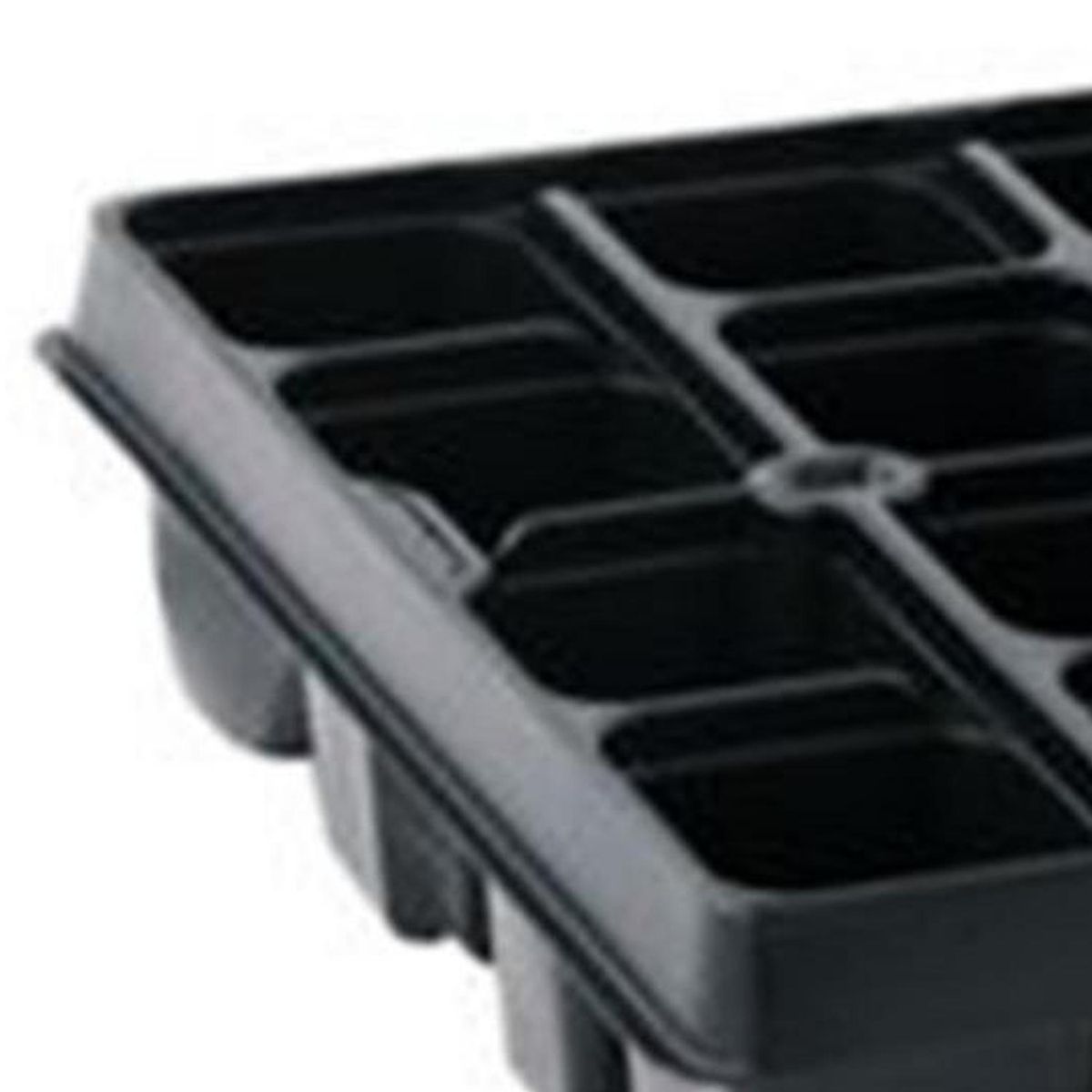 VILMORIN - Almaciguera 20 celdas transparente