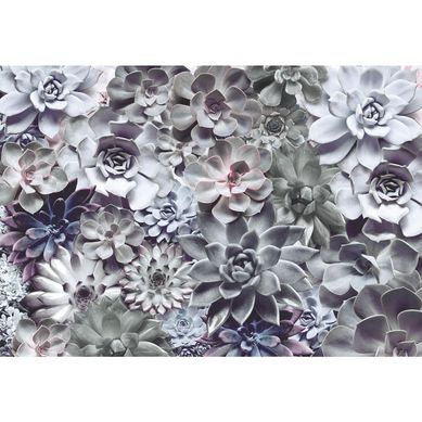 Fotomural Shades 368x254 cm