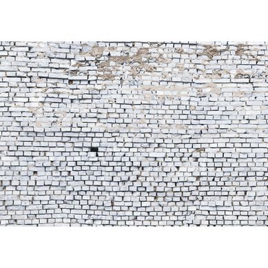 Fotomural Ladrillo Blanco 368x254 cm
