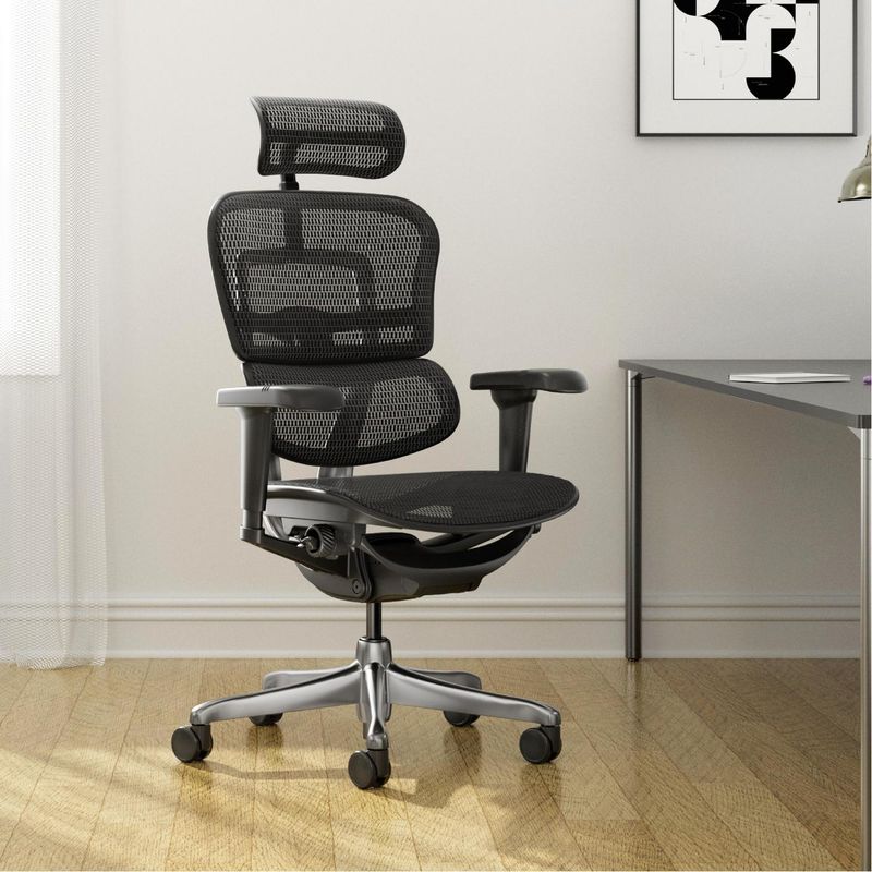 ONE SIT - Silla Escritorio Ergohuman Ultra Malla Negro