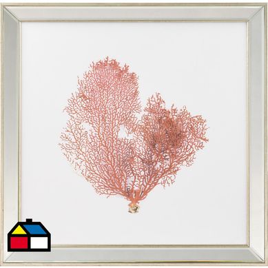 Cuadro Coral rojo 50x50 cm