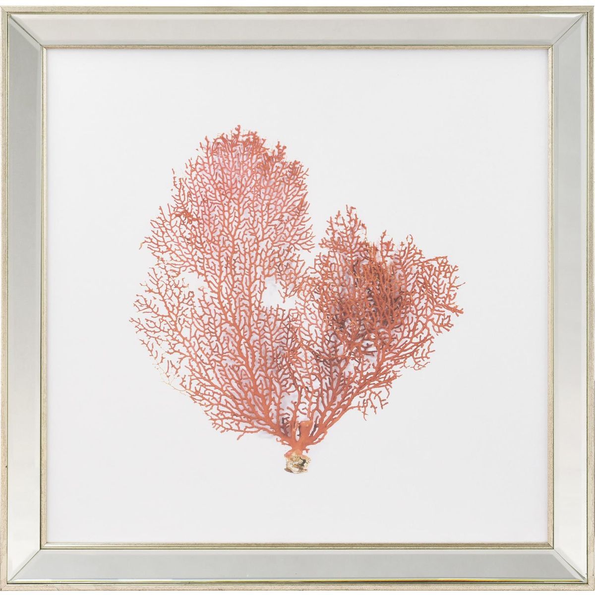 RONDA - Cuadro Coral rojo 50x50 cm