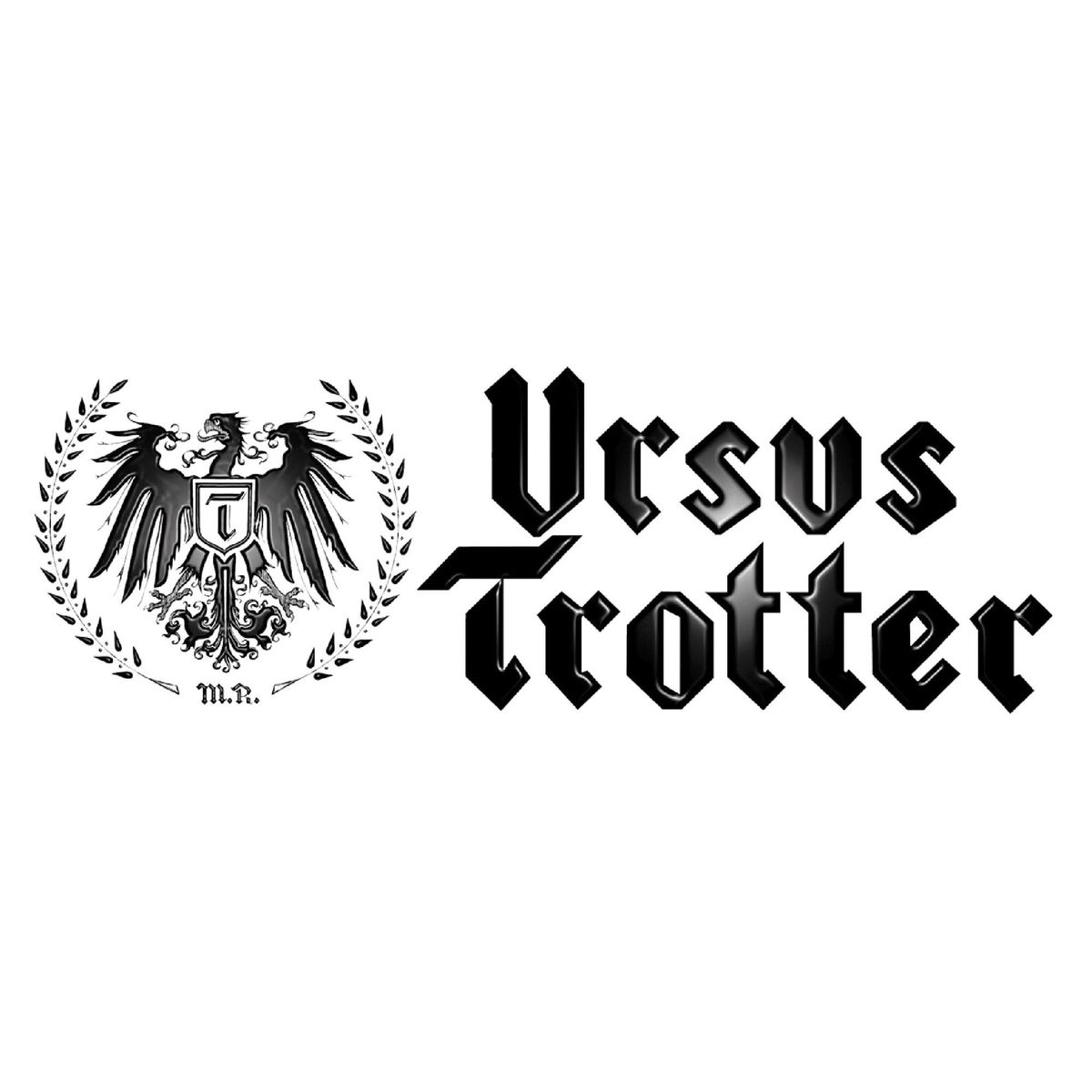 URSUS TROTTER - Campana Retráctil 60 cm Inox TLH-60