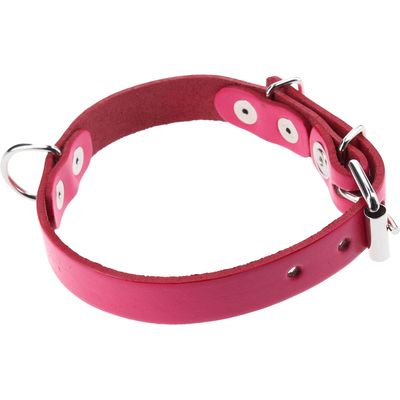 Imagen 2 del producto Collar Para Perro 40X2 Cm Accesorio Mascota