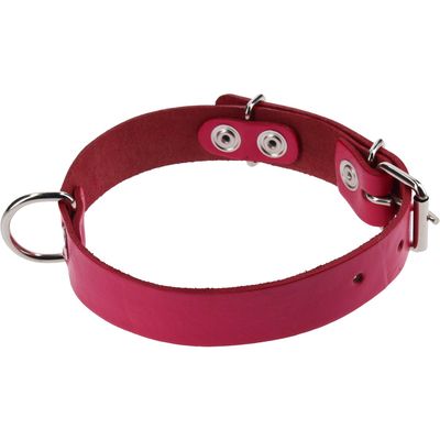 Imagen 2 del producto Collar Para Perro Suela 50X2. 5 Cm Mascotas