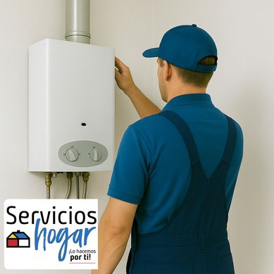 Instalacin Calefon Tiro Forzado