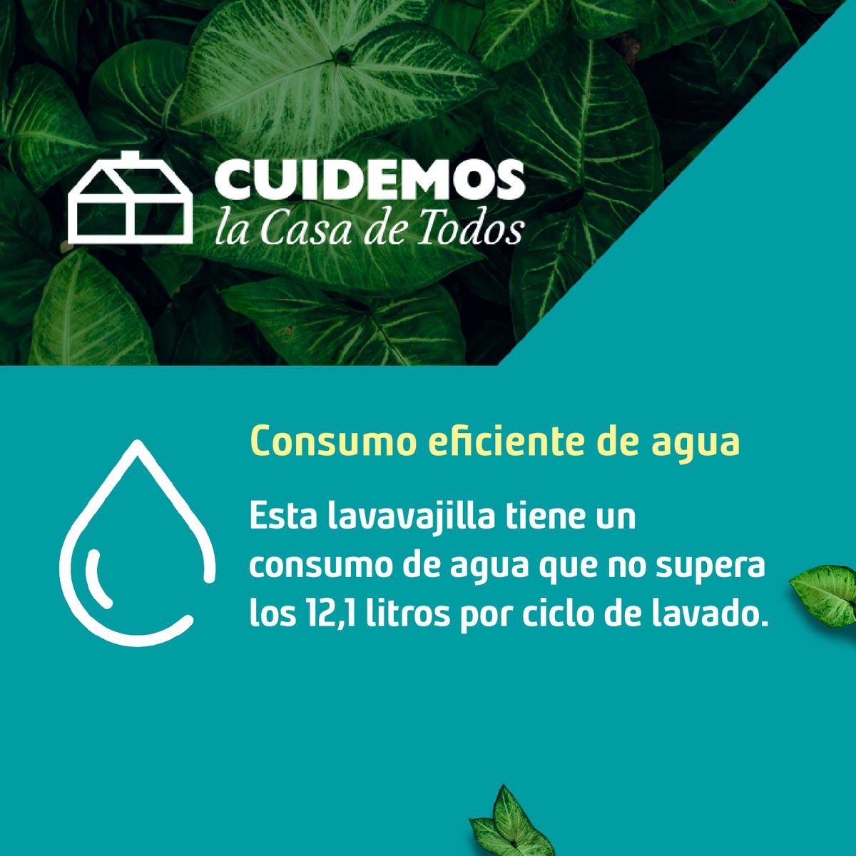 SAMSUNG - Lavavajillas 13 Cubiertos Blanco DW60M6040FW/ZS