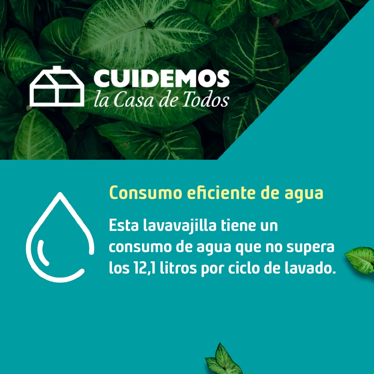 SAMSUNG - Lavavajillas 13 Cubiertos Blanco DW60M6040FW/ZS