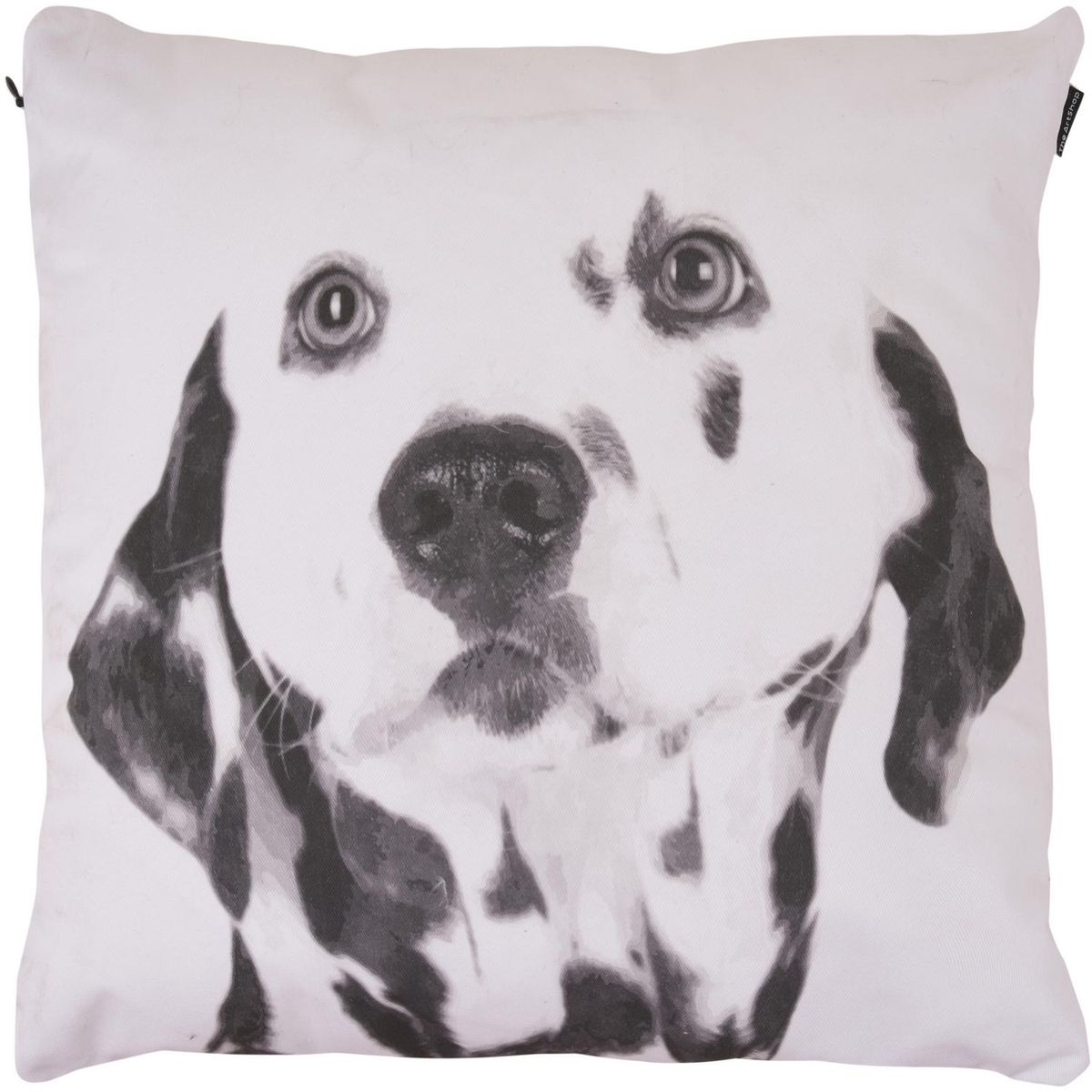 IMPRESIONARTE - Cojín Dálmata Blanco y Negro de Italia 40x40 cm