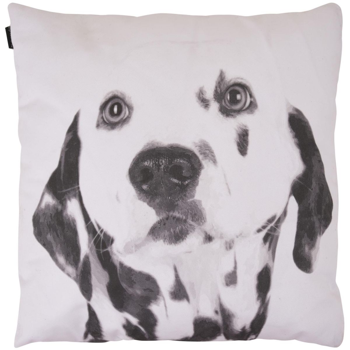 IMPRESIONARTE - Cojín Dálmata Blanco y Negro de Italia 40x40 cm
