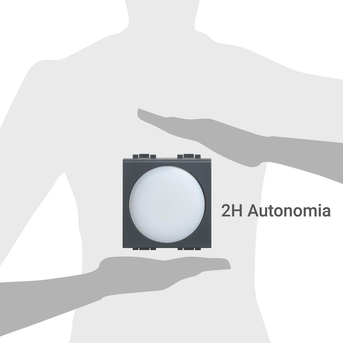 BTICINO - Modulo Lampara De Emergencia Extraible 2H Autonomia Livinlight