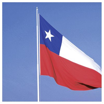 Imagen 2 del producto Mástil para Bandera 3 m Blanco