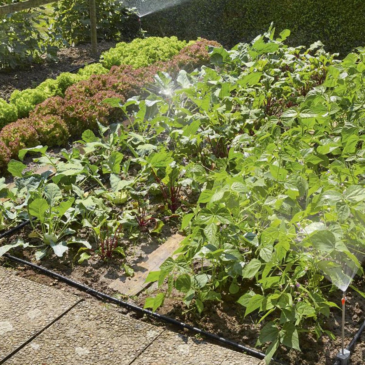 GARDENA - Set riego huertos y terrezas