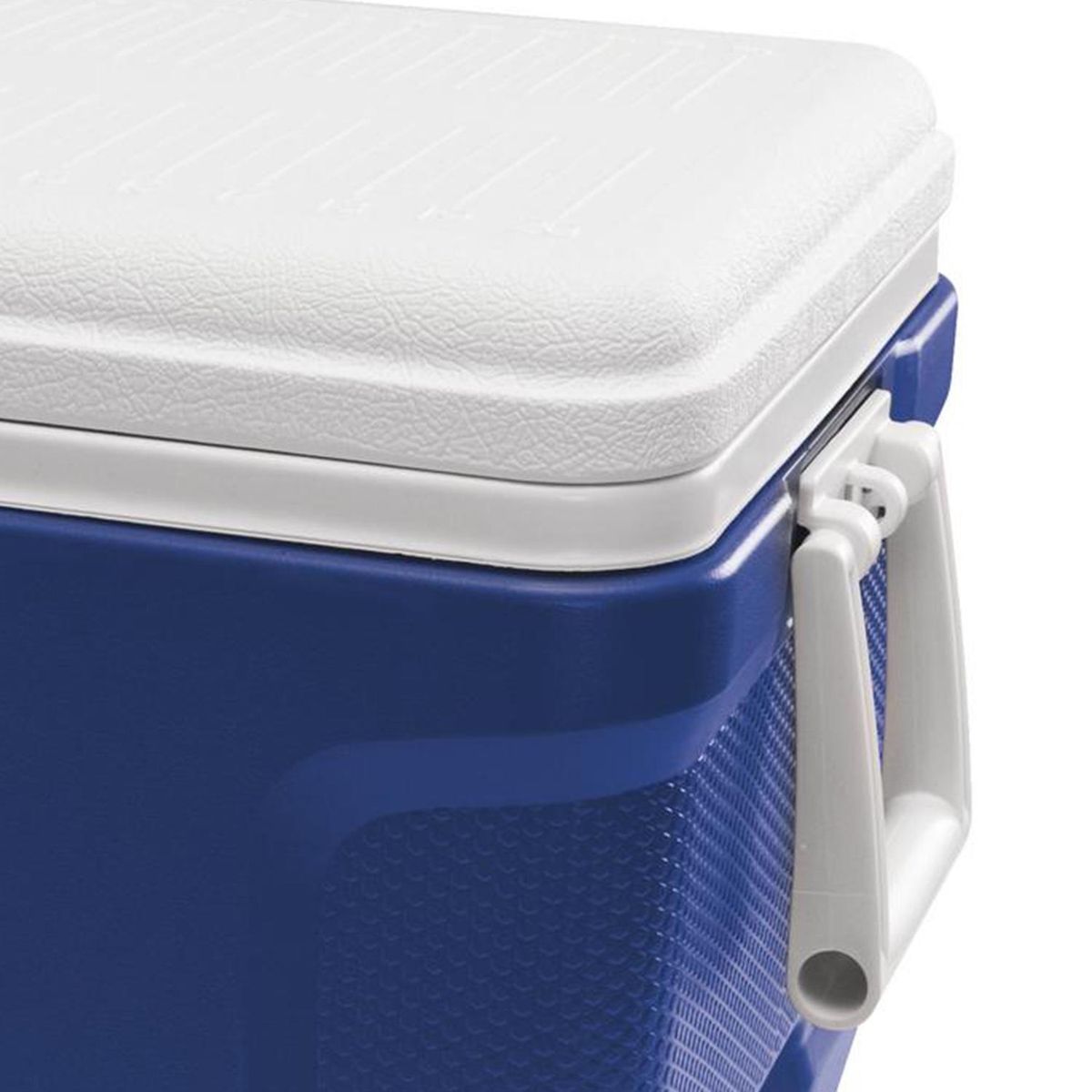 IGLOO - Cooler 50 l Azul