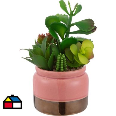 Arreglo suculentas 21 cm macetero rosa