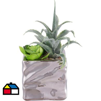 Arreglo suculentas 17 cm macetero plata.