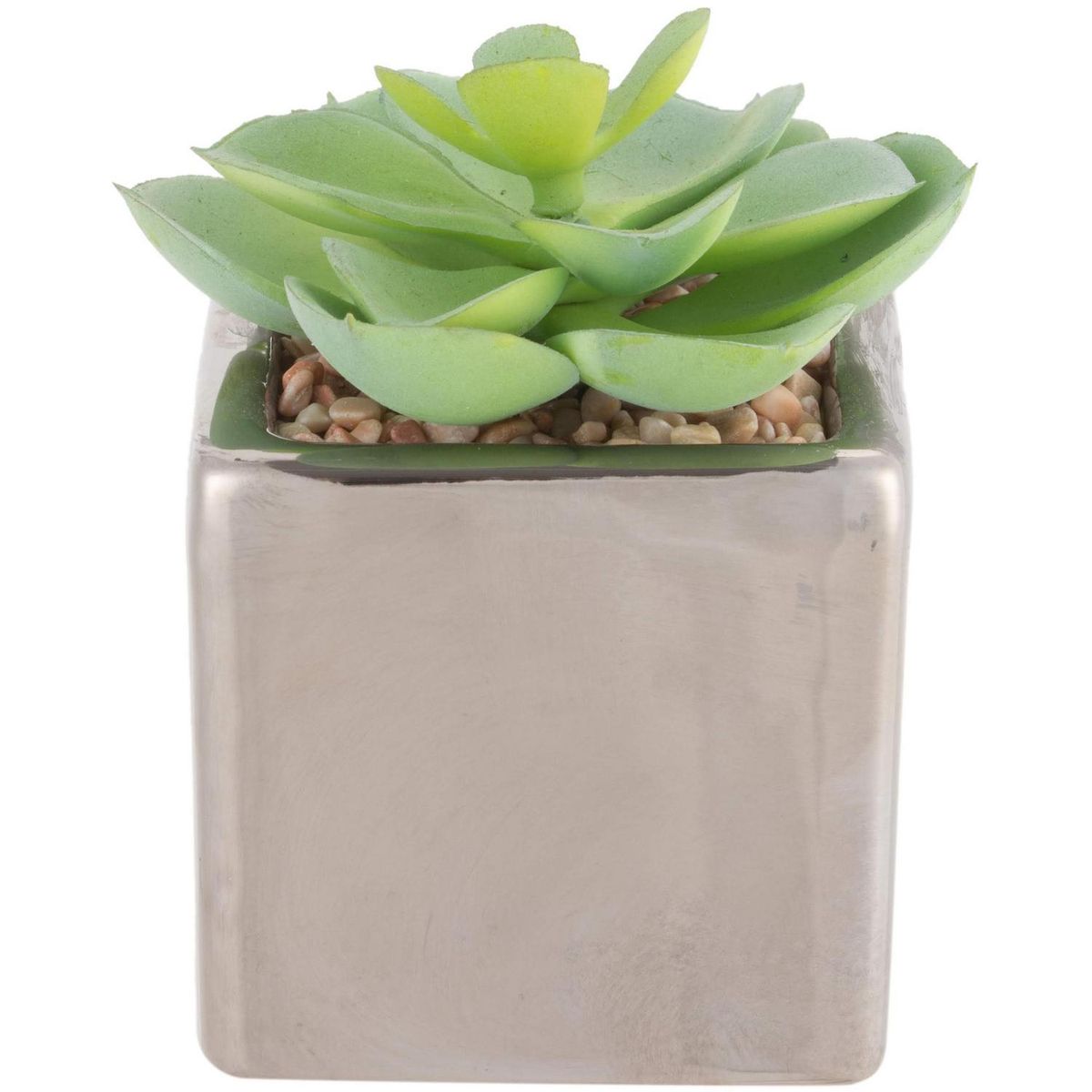 JUST HOME COLLECTION - Arreglo Suculentas 10 cm Verde