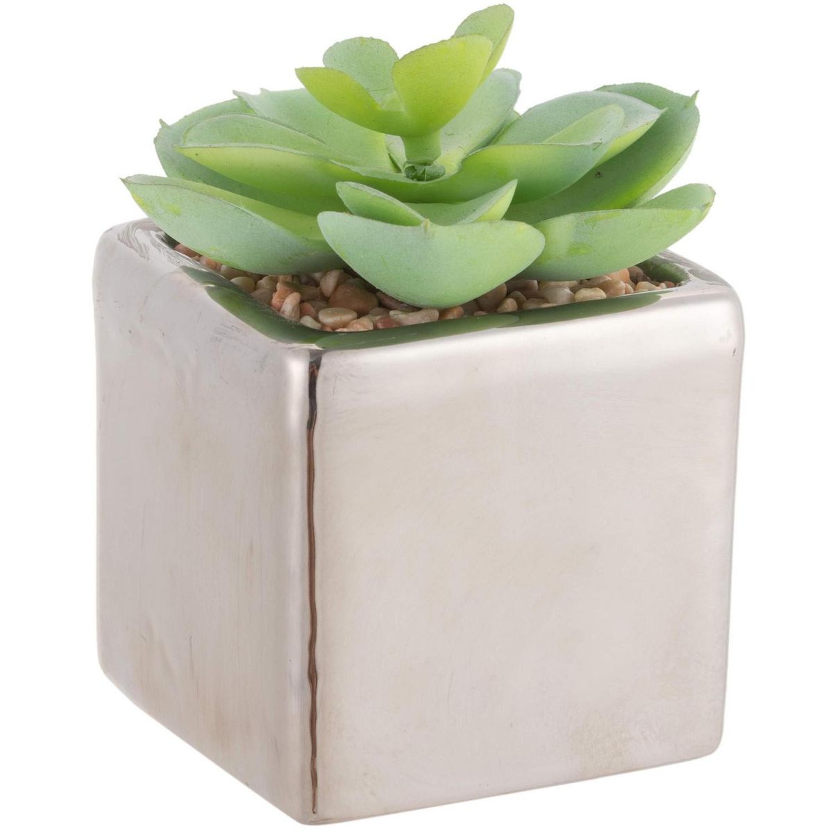 JUST HOME COLLECTION - Arreglo Suculentas 10 cm Verde