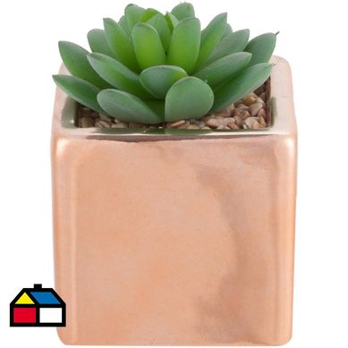 Arreglo suculentas 10 cm macetero rosa
