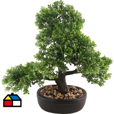 Bonsai 33 cm hoja boj