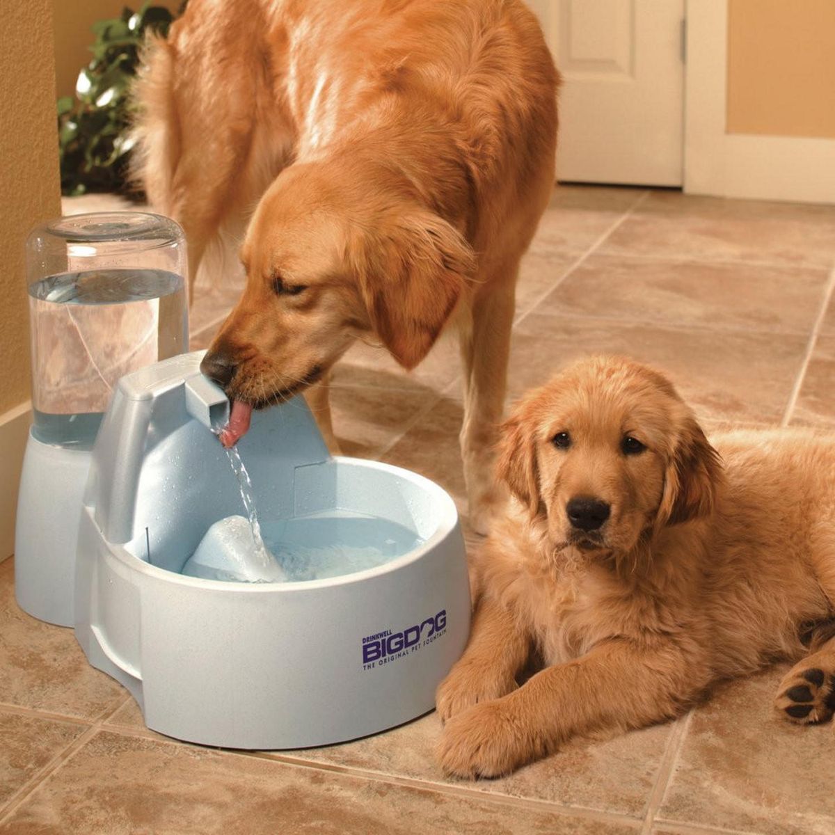 Fuente de agua Big dog 8,5 l, marca PETSAFE - Foto 2