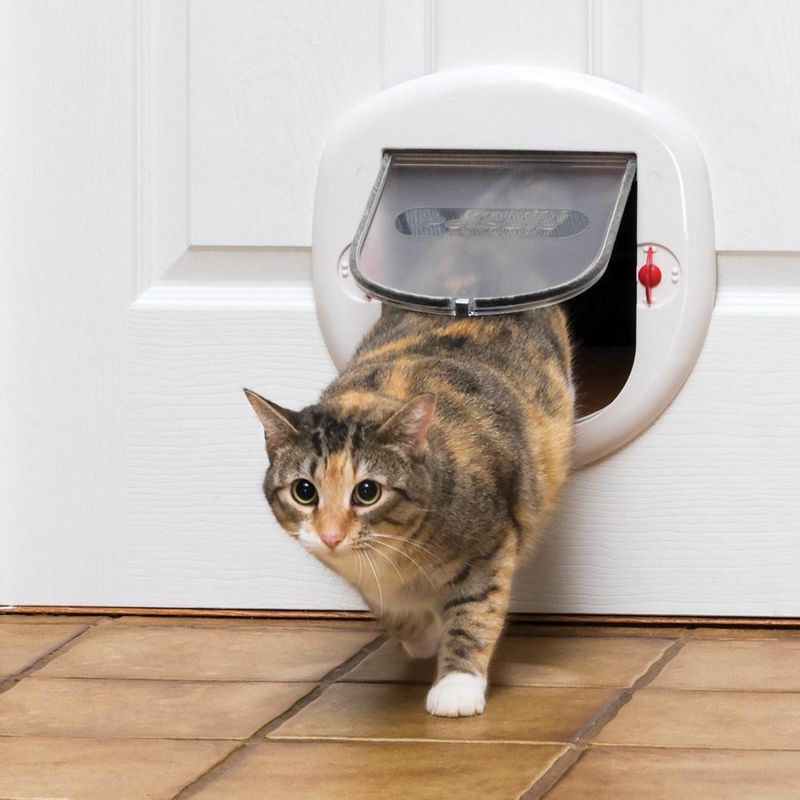 PETSAFE - Puerta gato grande apertura 18x18 cm para gatos de 11 kg