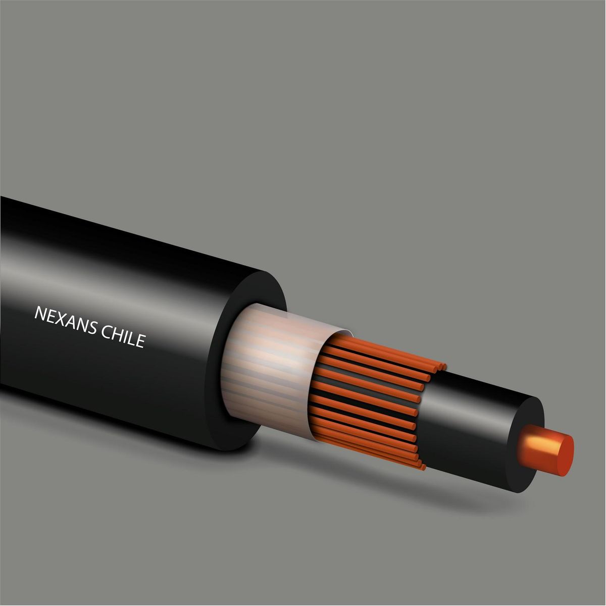 MADECO - Cable Concéntrico 2x4 mm2 Negro