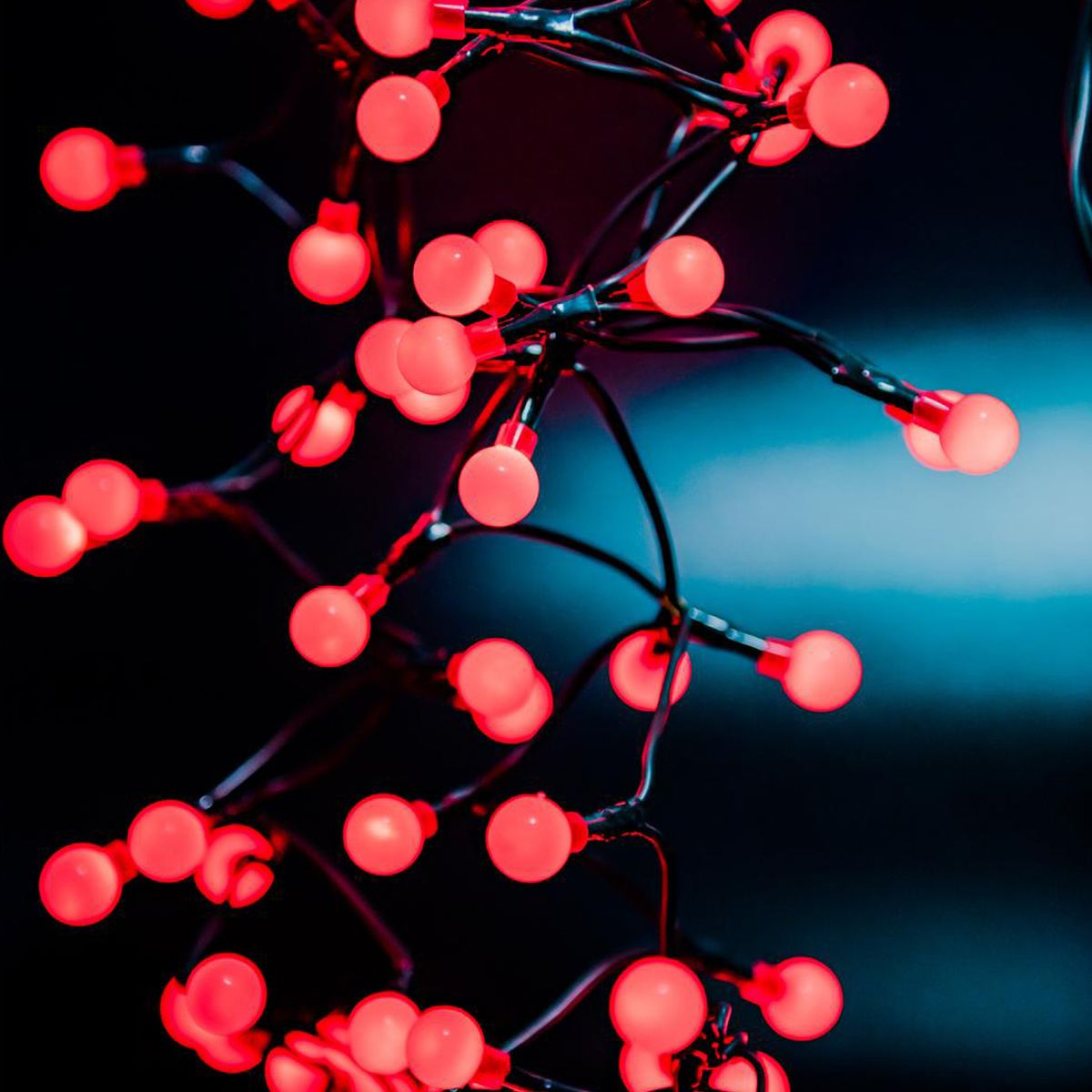 100 luces led con globo, marca DEAR SANTA - Foto 2