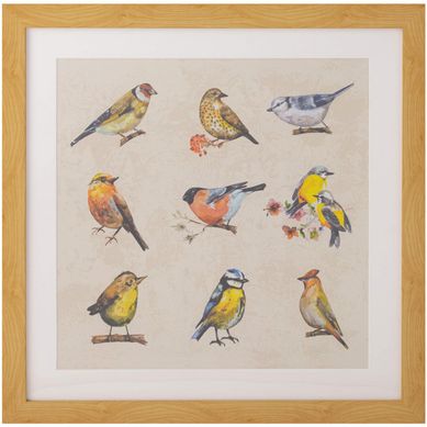 Cuadro Pajaros 50x50 cm
