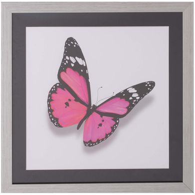 Cuadro Mariposa Fucsia 50x50 cm