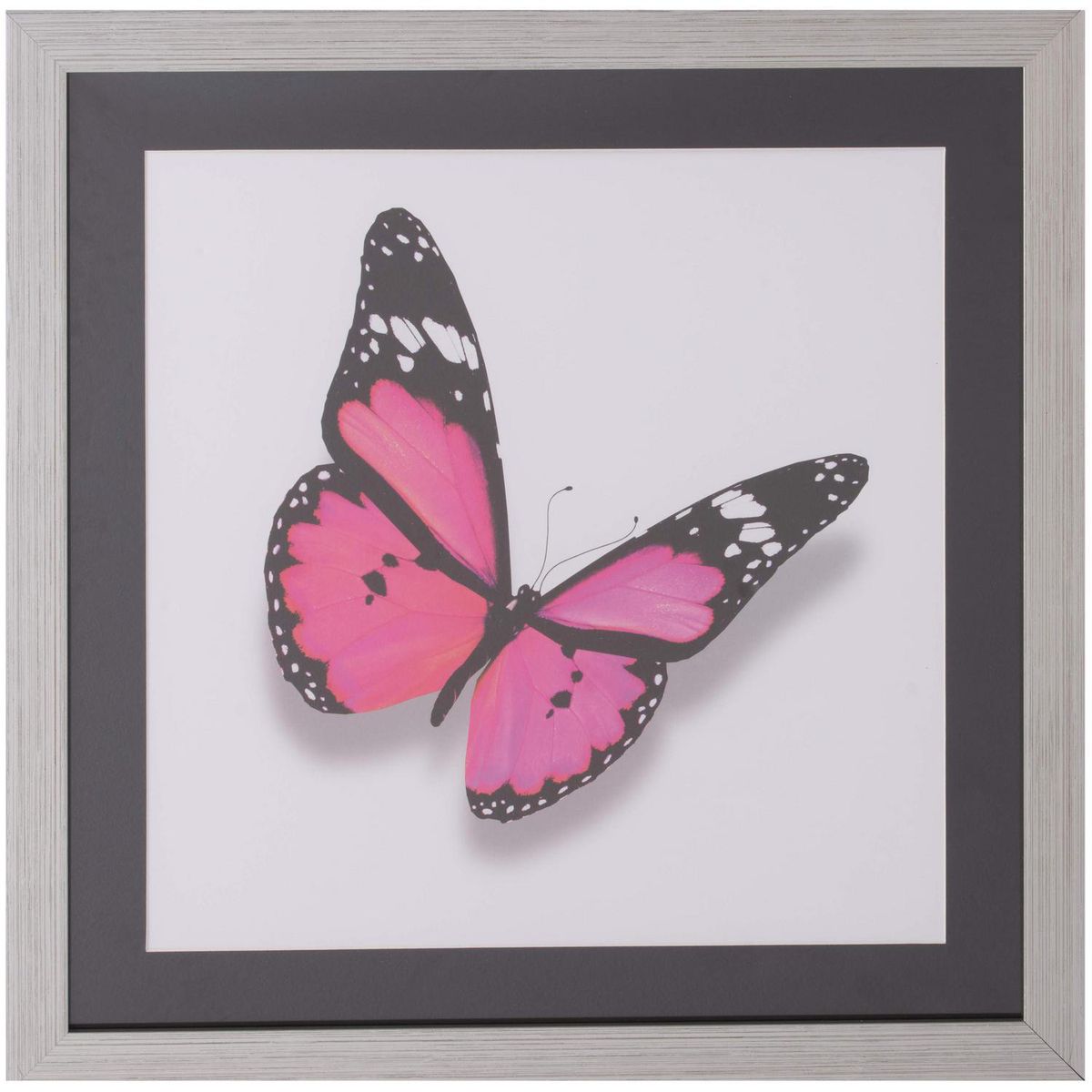 RONDA - Cuadro Mariposa Fucsia 50x50 cm