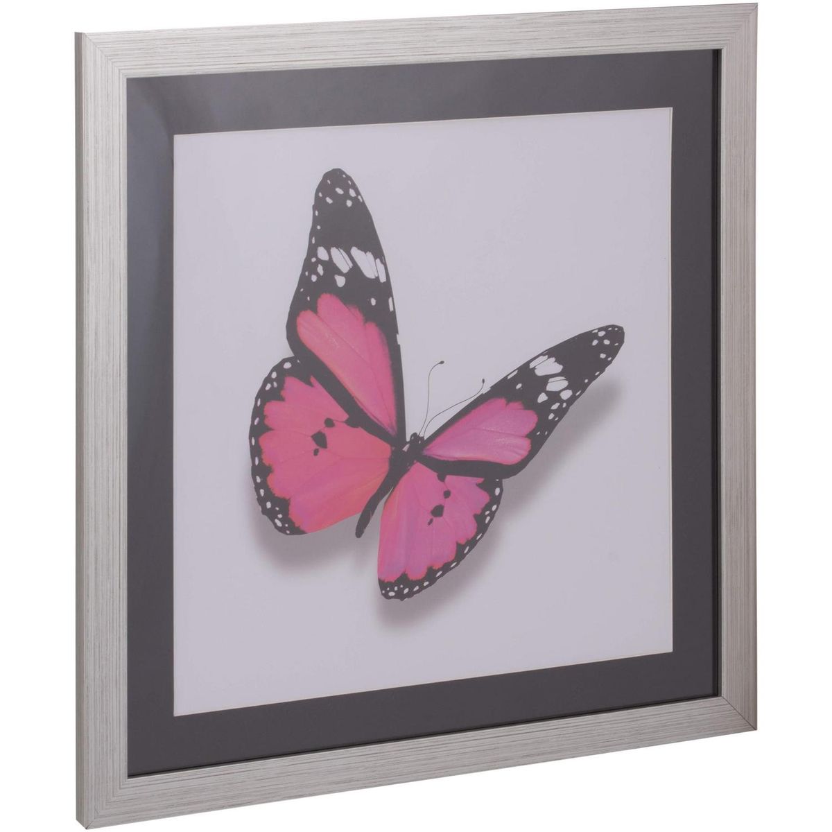 RONDA - Cuadro Mariposa Fucsia 50x50 cm