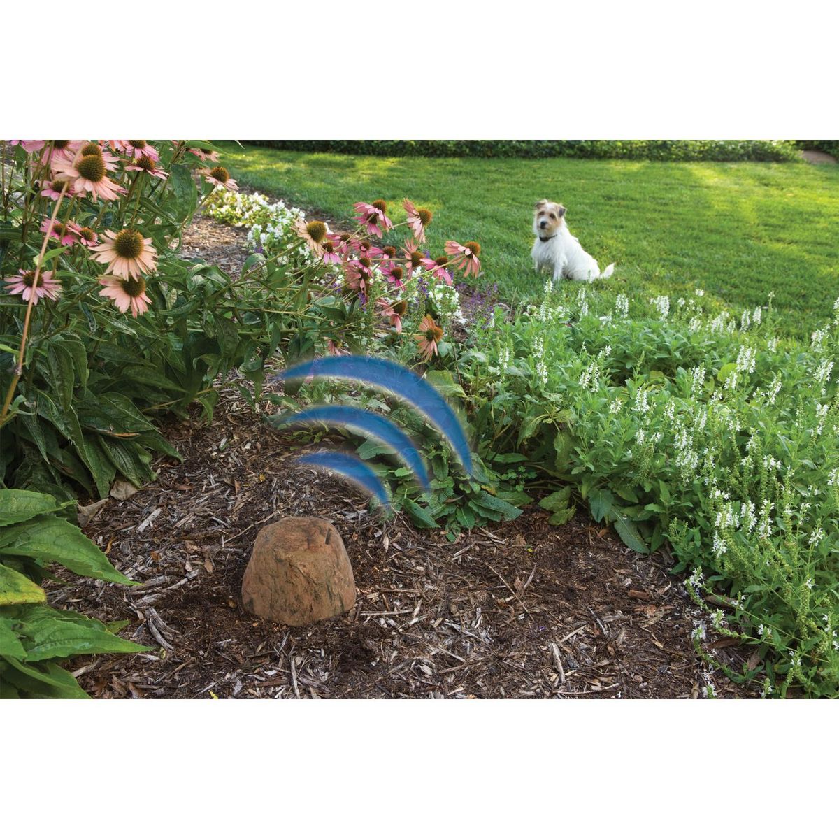 PETSAFE - Barrera Instantánea Outdoor Inalámbrica Con 1 Collar Para Perro