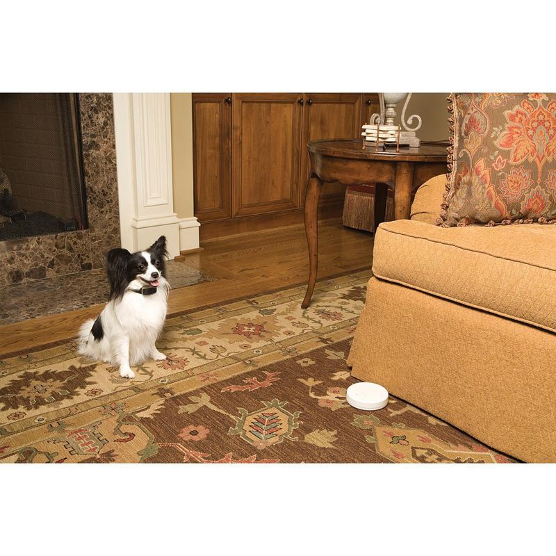 PETSAFE - Barrera instantánea indoor inalámbrica con 1 collar para perro