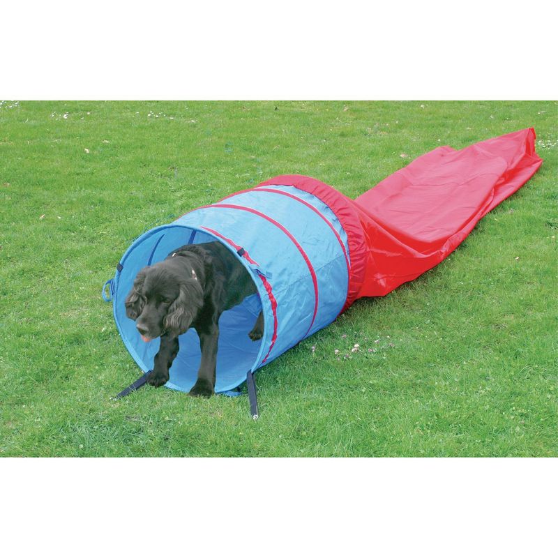 PAWISE - Tunel agility 5 m perro