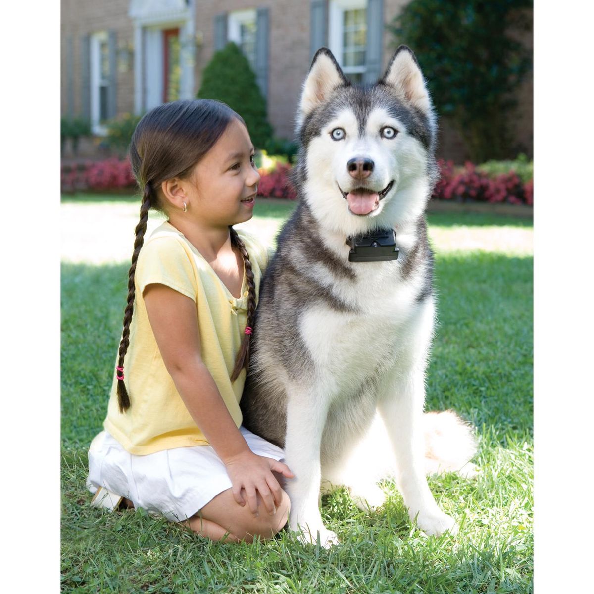 PETSAFE - Cerco Perimetral Perro Grande Con Estimulación Estática