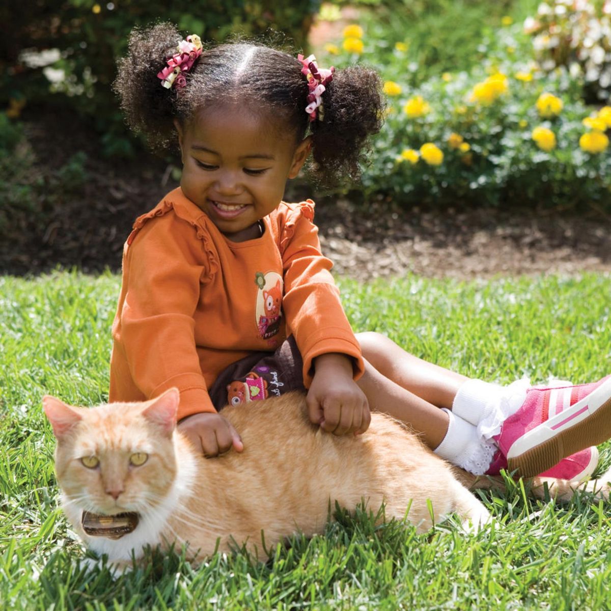 PETSAFE - Cerco Perimetral Para Gato Con Estimulación Estática