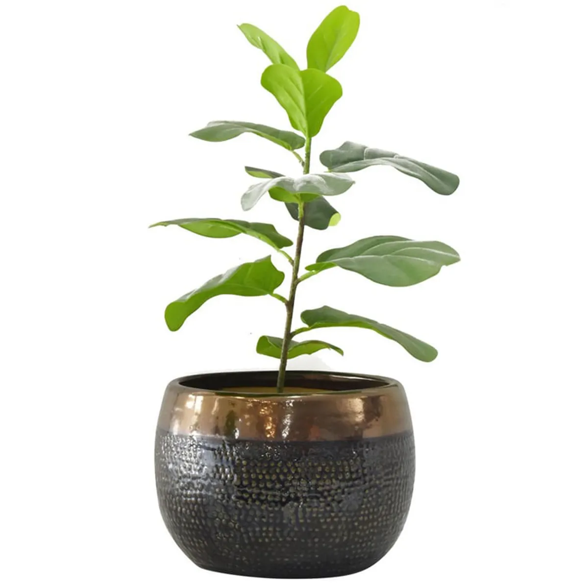 JUST HOME COLLECTION - Macetero Aisea de Cerámica 26x16 cm Oliva dorado