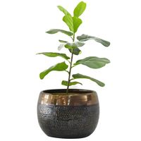 Macetero Aisea de Cerámica 26x16 cm Oliva dorado