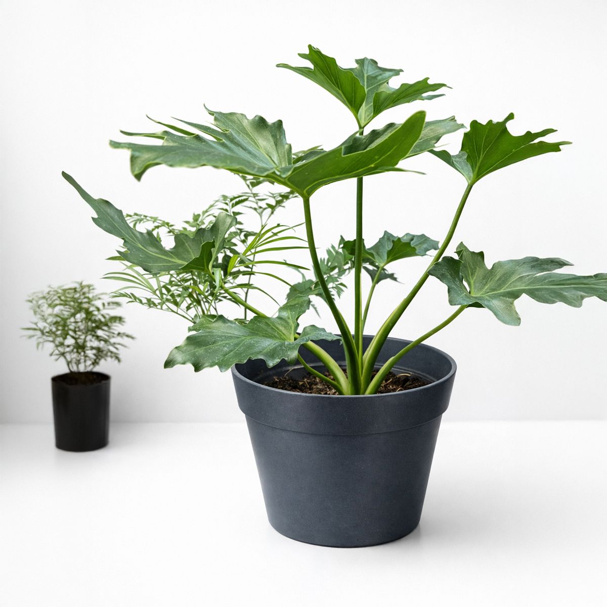 DECOGREEN - Macetero redondo de fibras naturales 25x25x17 cm