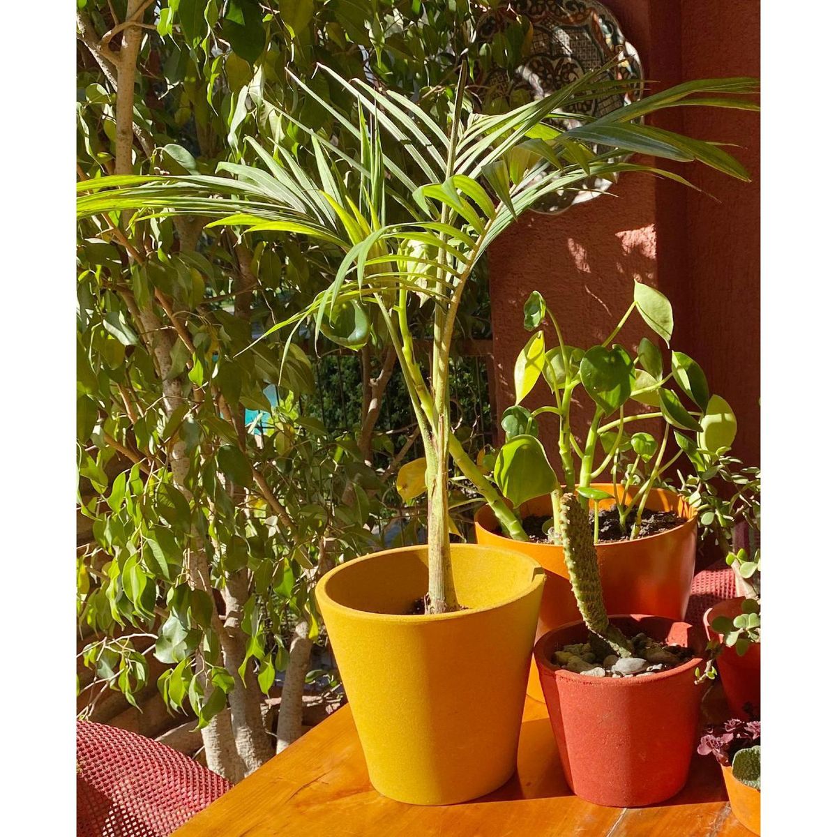 DECOGREEN - Macetero redondo de fibras naturales 20X20x18 cm